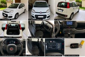 FIAT Panda 1.0 Hybrid 70 - 2319 KM Percorsi.