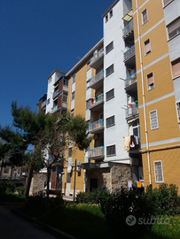 Trivani Zona Centrale - deposito Sita