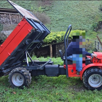 Carraro 23-2011 del 1999 motoagricola ribaltabile