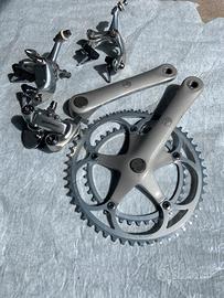 Gruppo campagnolo