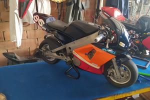 minimoto 