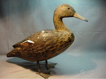 Anatre antiche da caccia