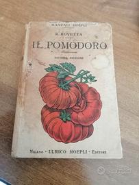 Il pomodoro Manuale Hoepli 1927