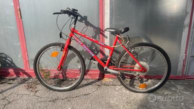 Mountain bike  bambino 6-9 anni