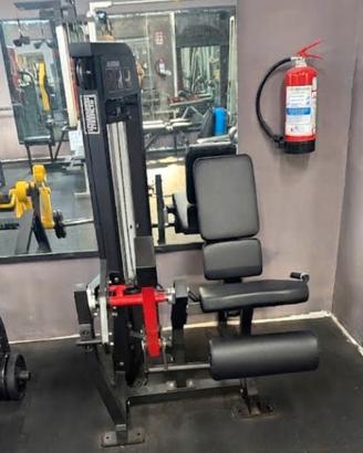 Palestra
