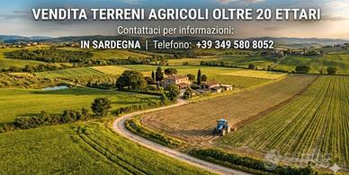 Sardegna - ampi terreni e fabbricati