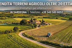 Sardegna - ampi terreni e fabbricati