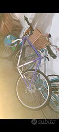 Biciclete 