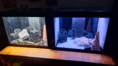 Acquari ASKOLL OPERA 110  Dicembre 2023