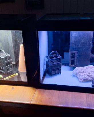 Acquari ASKOLL OPERA 110  Dicembre 2023