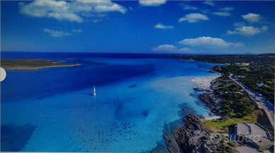 Casa vacanze Stintino