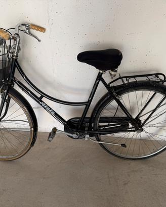 Coppia bici da sistemare