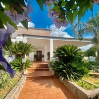 The Rosa's Luxury House