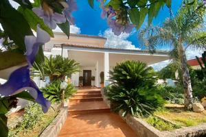 The Rosa's Luxury House