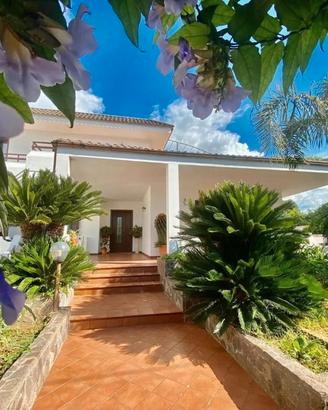 The Rosa's Luxury House