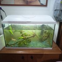acquario compreso di tutto