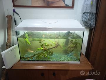 acquario compreso di tutto