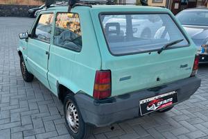 Fiat Panda 900 i.e. cat Young