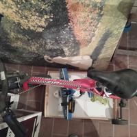 bicicletta bimbo