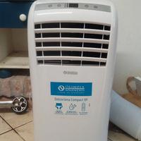 Pinguino  condizionatore