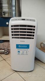 Pinguino  condizionatore