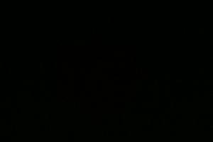 Ricambi Audi A3 2000> e Golf IV serie