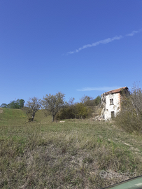 Terreno con un rustico piu annesso agricolo