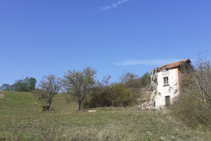 Terreno con un rustico piu annesso agricolo