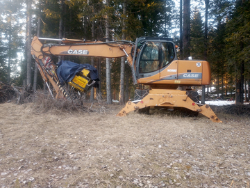 Escavatore con processore