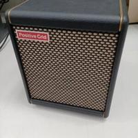 Positive Grid Spark Mini