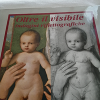 Oltre il visibile. Indagini riflettografiche