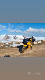 Ninja ZX6-R 