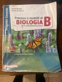 Processi e modelli di biologia B