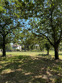 Terreno edificabile Roccamonfina