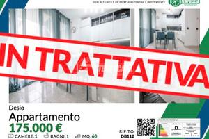 AMPIO BILOCALE RISTRUTTURATO CON BOX E CANTINA!
