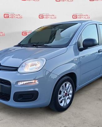 FIAT Panda 1.0 FireFly 70cv S&S Hybrid
