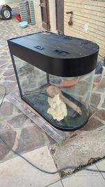 acquario 280 litri