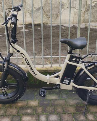 Bicicletta a pedalata assistita