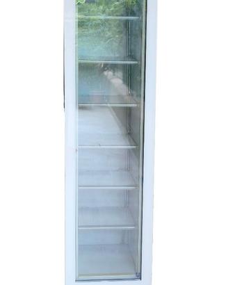 Vetrina congelatore slim professionale 170 litri