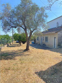 Vendita villetta semi-indipendente