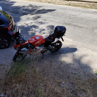 Aprilia RS 125 2009