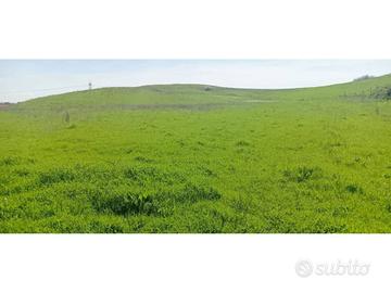 Terreno di 44170 m² a Anguillara Sabazia