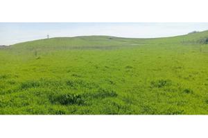 Terreno di 44170 m² a Anguillara Sabazia