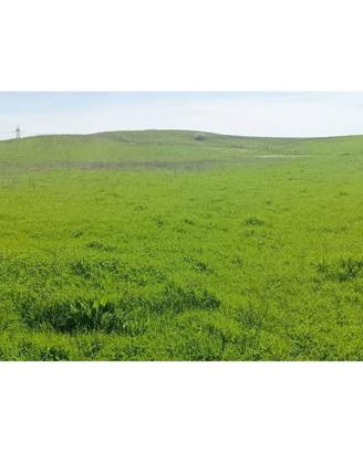 Terreno di 44170 m² a Anguillara Sabazia