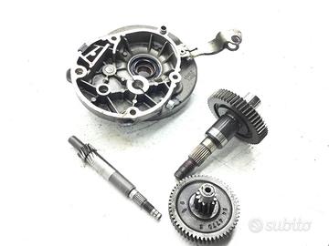 APRILIA SCARABEO 4T 50 CARTER E INGRANAGGI RUOTA P