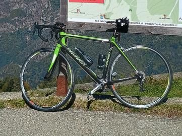 pavarin carbonio corsa 