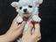 Immagine 4