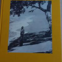 IL GRANDE GATSBY  1995 PUBBLICATO DA OLIVETTI