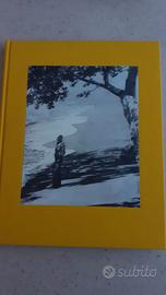 IL GRANDE GATSBY  1995 PUBBLICATO DA OLIVETTI