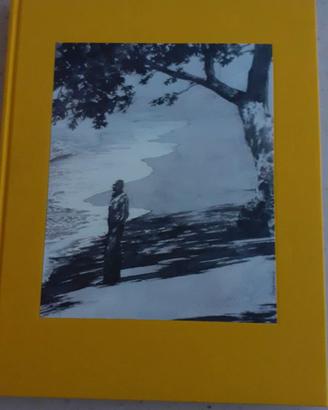 IL GRANDE GATSBY  1995 PUBBLICATO DA OLIVETTI